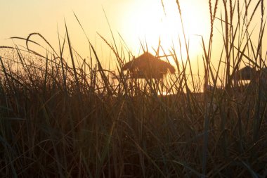 Uzun otların, bir ahşap gözlem kulesi aracılığıyla gün batımı