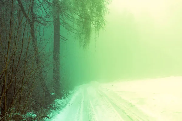 Rayos de luz verde de un OVNI en el bosque invernal . — Foto de Stock