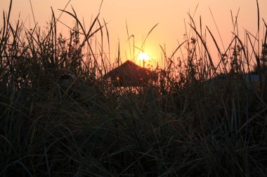 Uzun otların, bir ahşap gözlem kulesi aracılığıyla gün batımı