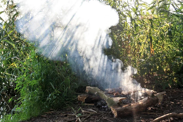 La carne se fríe en un bosque con humo —  Fotos de Stock