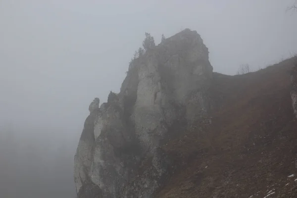 Каменная скала в тумане с деревьями на ней — стоковое фото