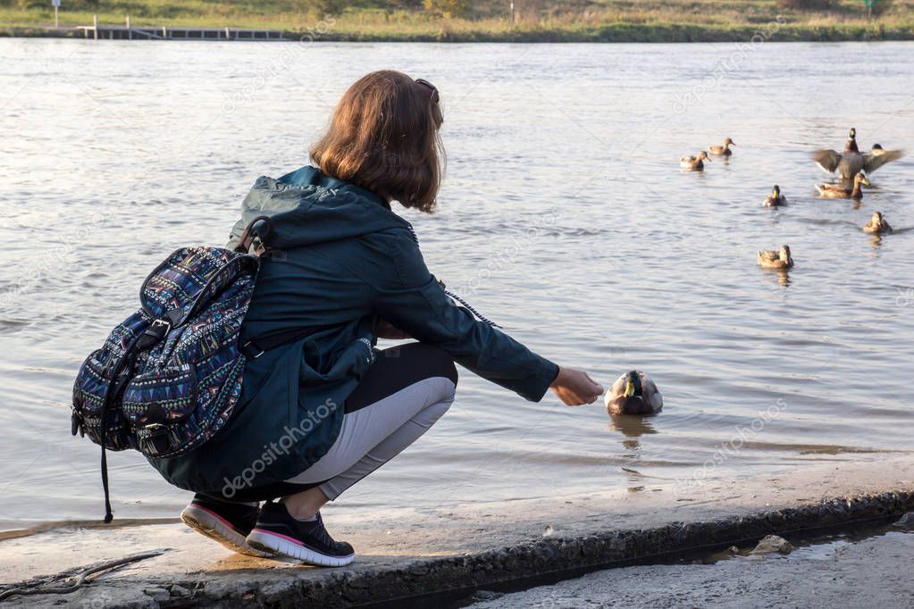 A young girl feeds ducks on a lake