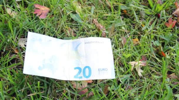 Dollars et Euro sont en baisse, concept — Video