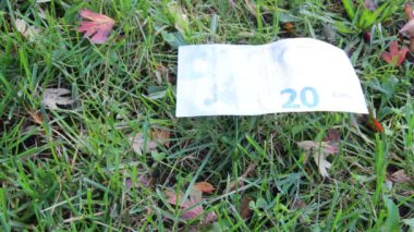 Kağıt para yıkılışı