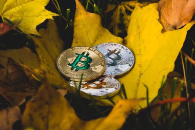 Bitcoins kavramı düşmüş,