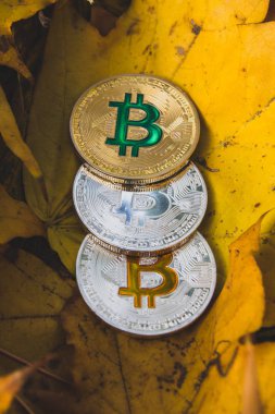 Bitcoins sonbahar yaprak üzerinde