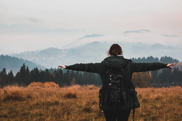 Menina com braços estendidos olha para o landscap montanha — Fotografia de Stock