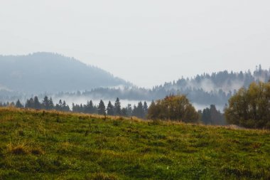 Dağ manzarası, sis