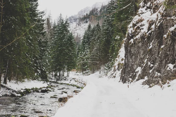 Camino nevado y un arroyo en las montañas — Foto de Stock