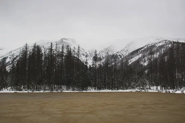 Kışın donmuş kahverengi göl dağlarda — Stok fotoğraf
