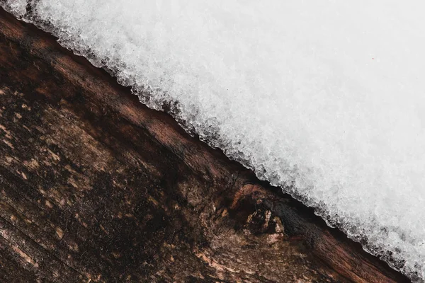 겨울 배경, 나무, 눈 — 스톡 사진