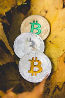 bitcoins üzerindeki düşmüş sonbahar yaprak, bit yıkılmasından kavramı