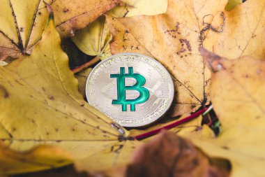 bitcoins üzerindeki düşmüş sonbahar yaprak, bit yıkılmasından kavramı