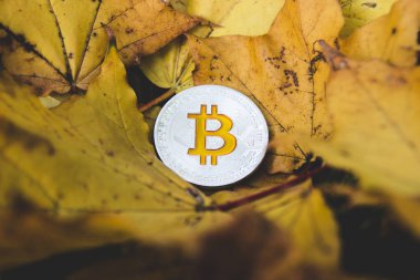 bitcoins üzerindeki düşmüş sonbahar yaprak, bit yıkılmasından kavramı