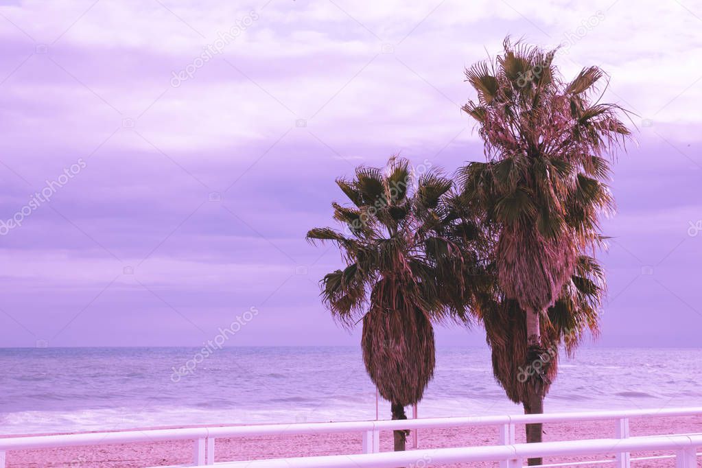Three large tropical palm trees against the sea and purple sky
