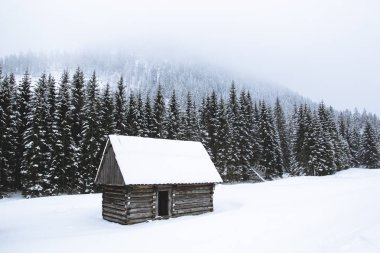 Bir karlı kış glade, t üzerinde küçük bir yalnız ahşap ev duruyor
