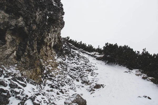石岩と雪に覆われた道の霧の山 — ストック写真