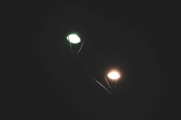 2 防犯灯の暗い夜に緑とオレンジ色の輝き — ストック写真
