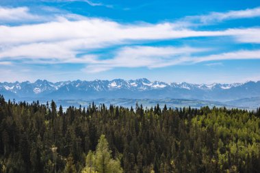 Bir vadi ve bir ormanda di ile çok güzel bir manzara