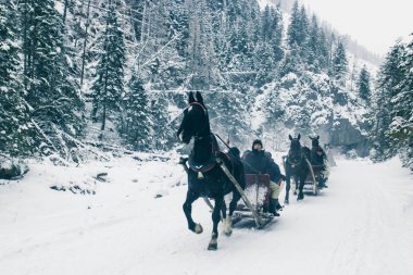 10 Şubat 2018, bir slei, birkaç koşum takımları, Zakopane, Polonya