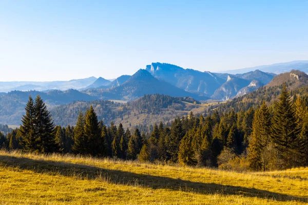 Beau panorama de montagnes avec herbe jaune et sapins — Photo