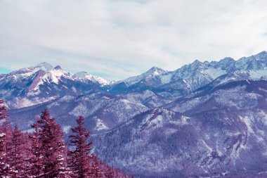 Gerçeküstü dağ manzarası