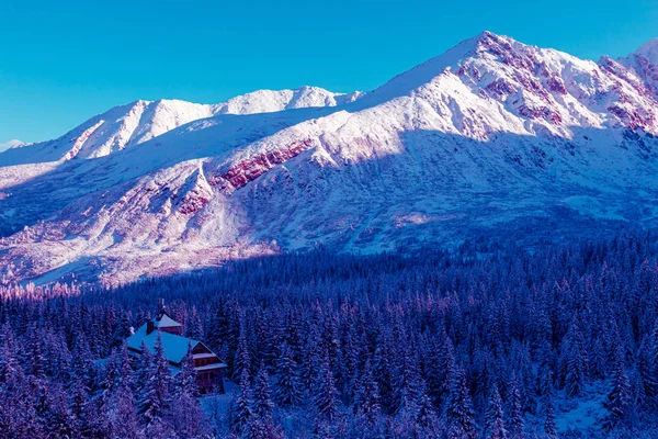 Surrealistyczny krajobraz górski, neonowe fioletowe góry — Zdjęcie stockowe