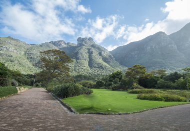 Cape town Botanik Bahçesi