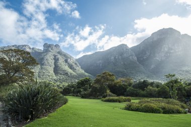 Cape town Botanik Bahçesi