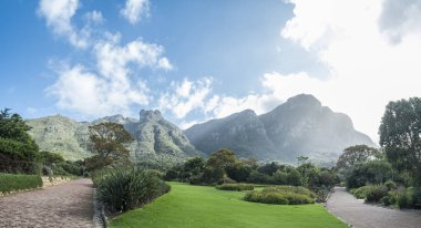 Cape town Botanik Bahçesi