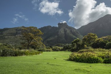 Cape town Botanik Bahçesi