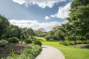 Cape town Botanik Bahçesi