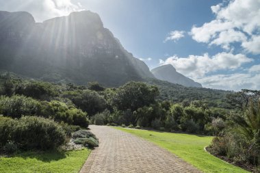 Cape town Botanik Bahçesi