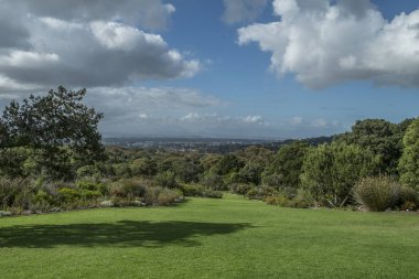 Cape town Botanik Bahçesi