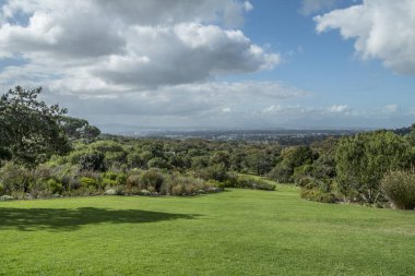 Cape town Botanik Bahçesi