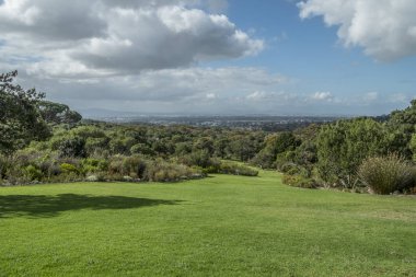 Cape town Botanik Bahçesi