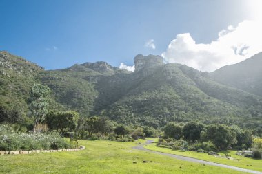 Cape town Botanik Bahçesi