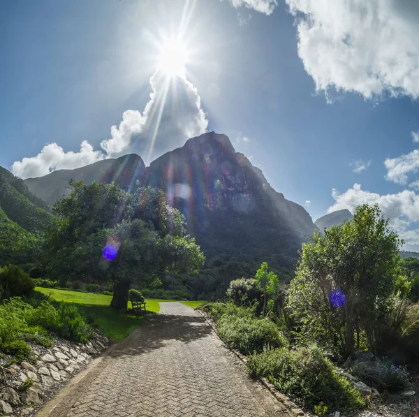 Cidade do Cabo jardim botânico — Fotografia de Stock