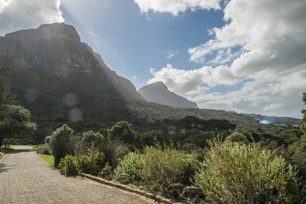 Cidade do Cabo jardim botânico — Fotografia de Stock