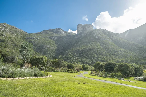 Cidade do Cabo jardim botânico — Fotografia de Stock