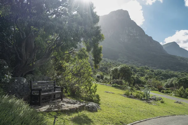 Cidade do Cabo jardim botânico — Fotografia de Stock