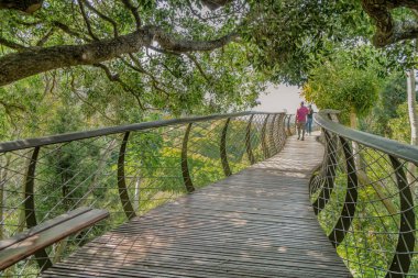 Cape town Botanik Bahçesi Köprüsü yürüme Çift
