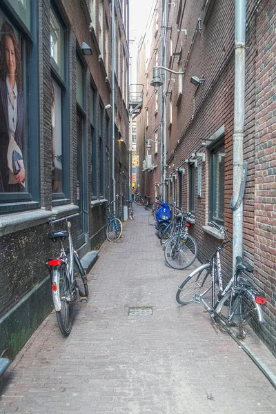 Amsterdam / Hollande - 9 / 12 / 14 Rue typique à Amsterdam — Photo