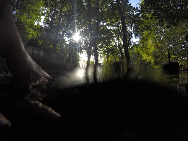 Мбаппе в воде в лесу — стоковое фото