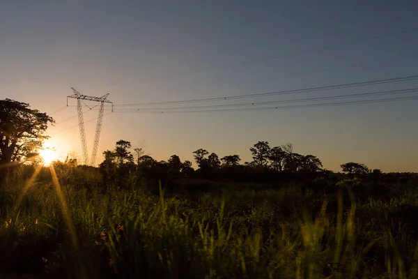 Electricity pole going through the jungle with sunset. — Stock Photo, Image