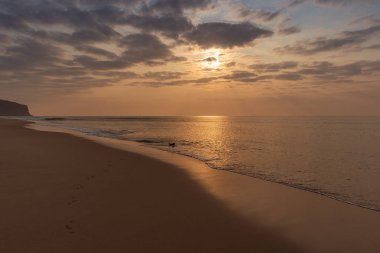 Gün batımı ile plajda oynayan köpek.