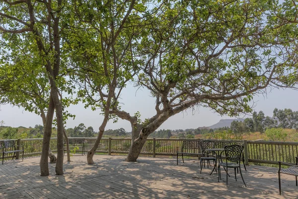 masa ve sandalyeler ve gölgeli bir ağaç ahşap sundurma.