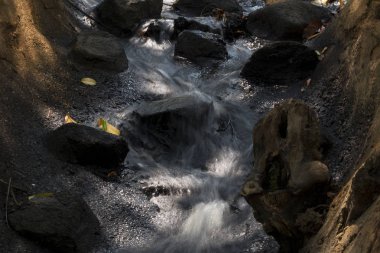 Ağaç yaprakları ile küçük şelaleler. Sonbahar.