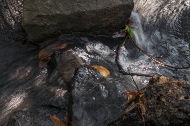 Ağaç yaprakları ile küçük şelaleler. Sonbahar.