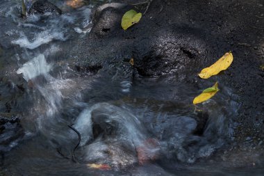 Ağaç yaprakları ile küçük şelaleler. Sonbahar.